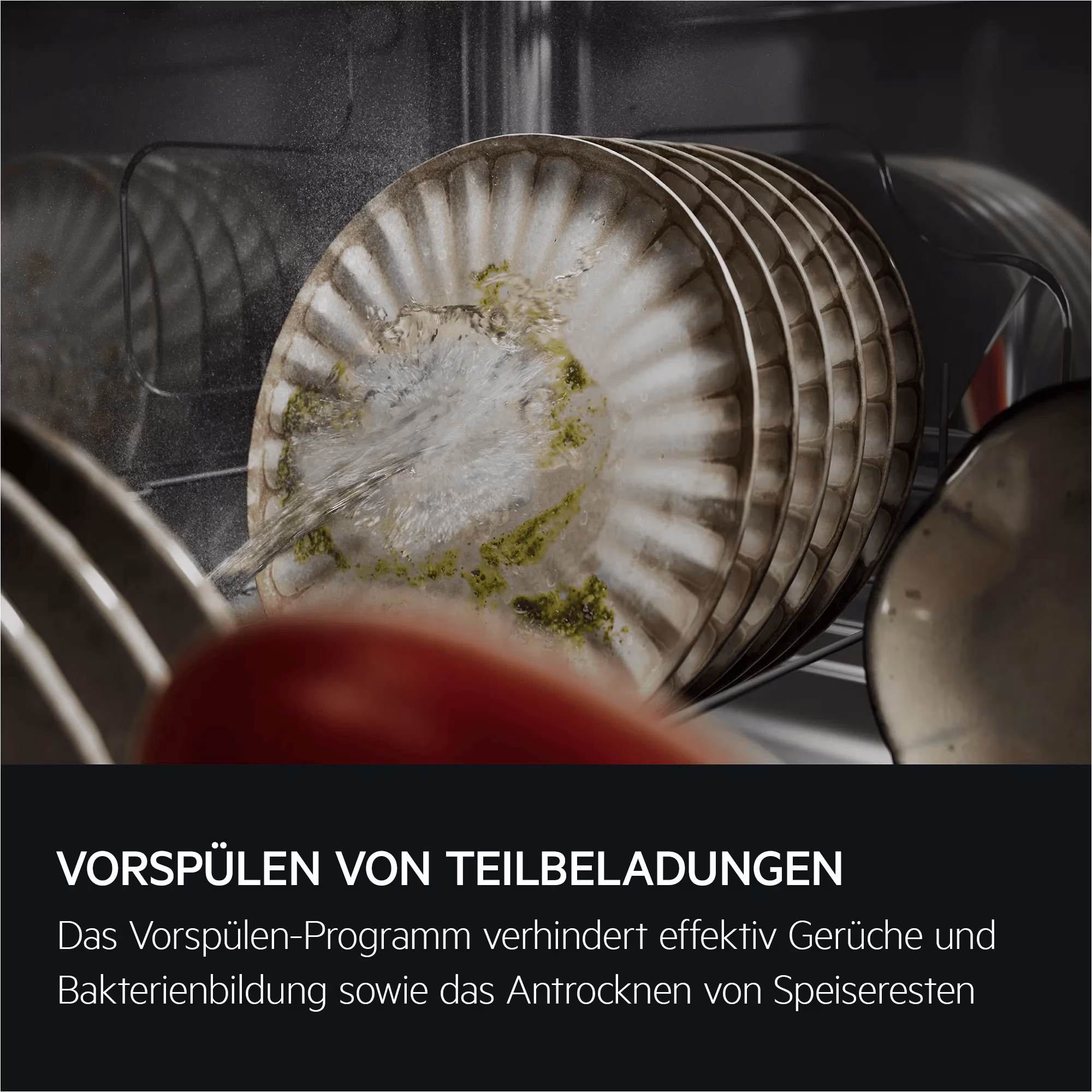 AEG NG52IE10K Geschirrspüler