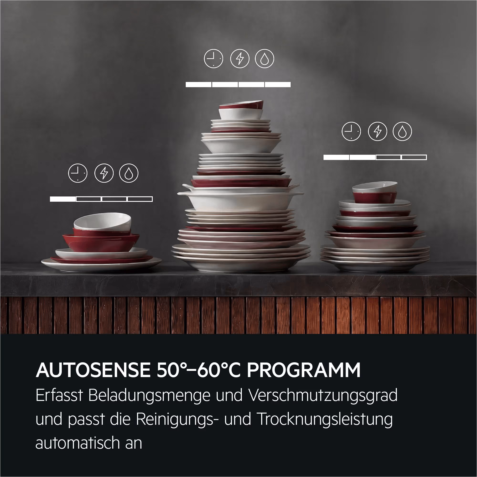 AEG NG52IE10K Geschirrspüler