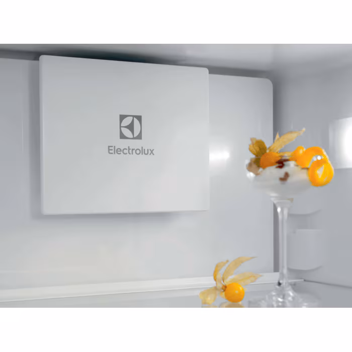 Electrolux ENT6ME19S Kühl- / Gefrierkombination