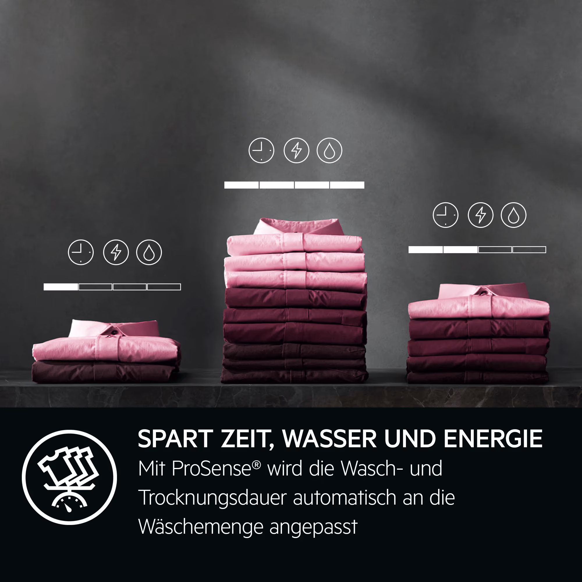 AEG LWR8BE161W Set
