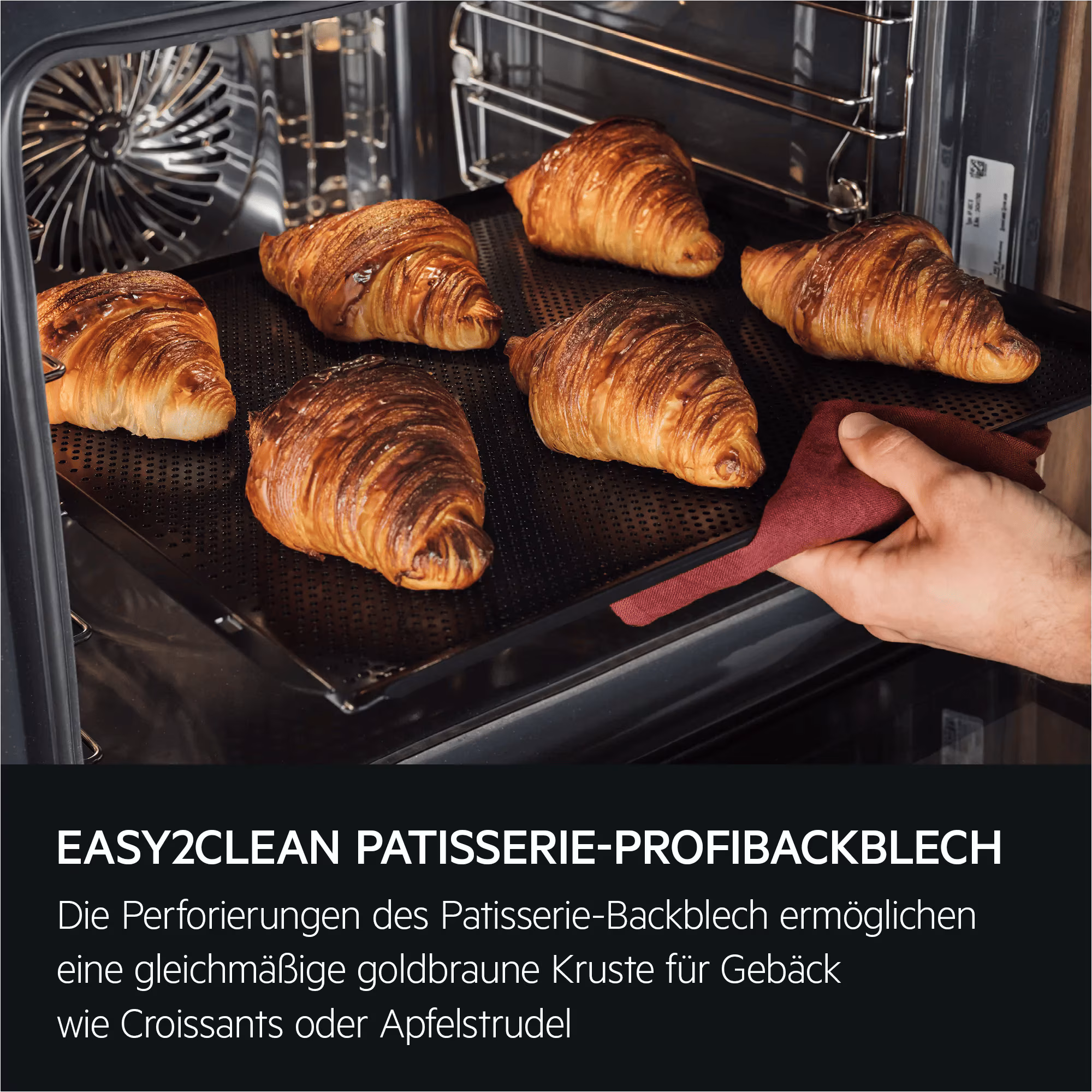 AEG CS9900B Einbaubackofen