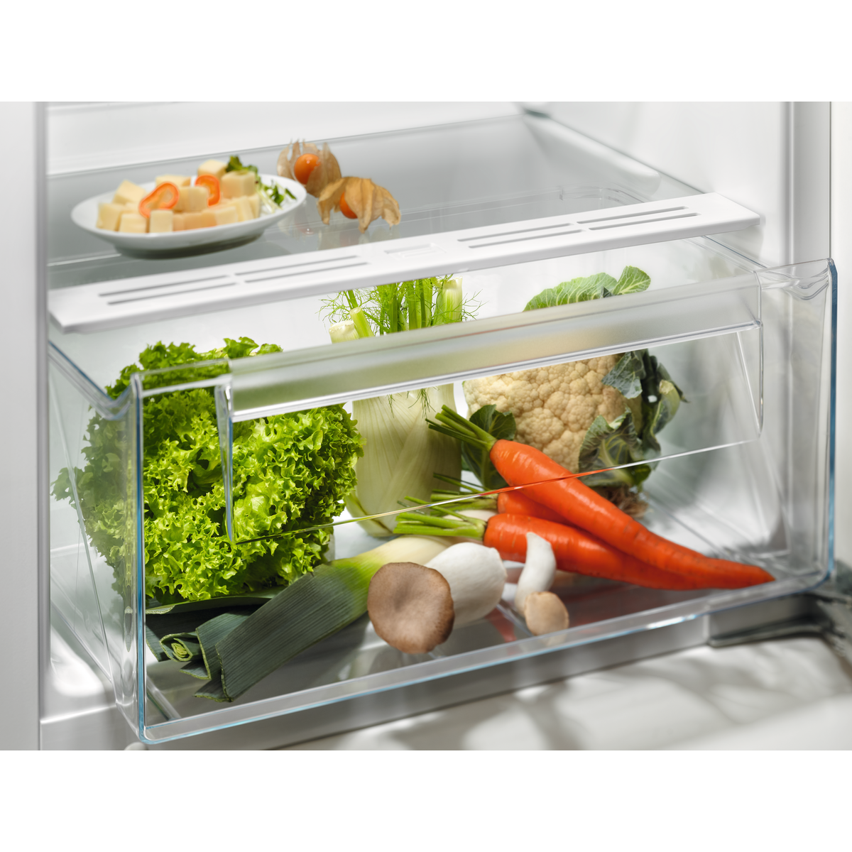 Electrolux LFB3AE12S Kühlschrank