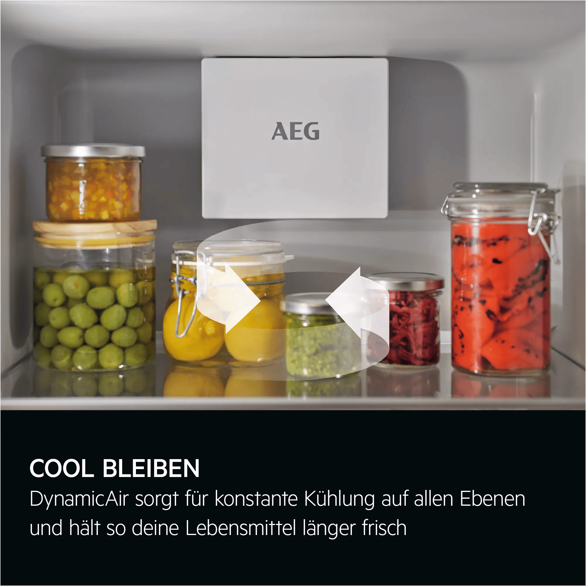 AEG ER6B18C Kühlschrank