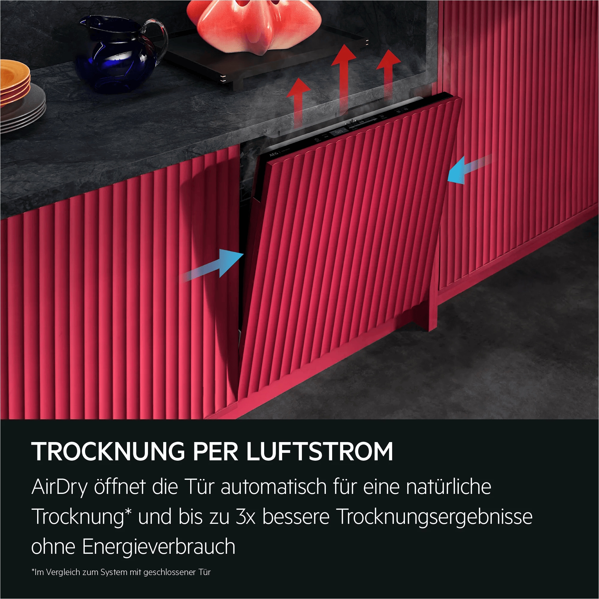 AEG NG52IE10K Geschirrspüler