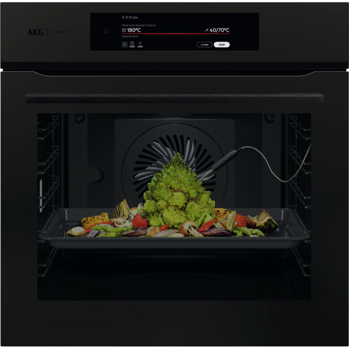 AEG BP9200T Einbauherd/Backofen