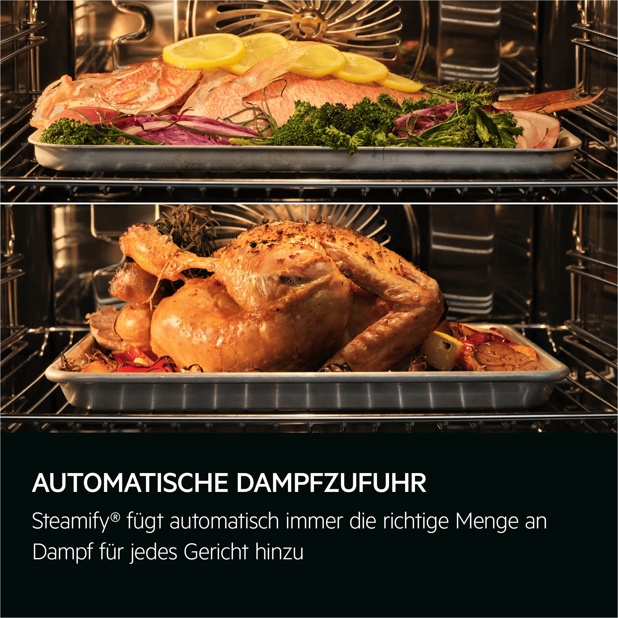 AEG CS7900T Einbaubackofen