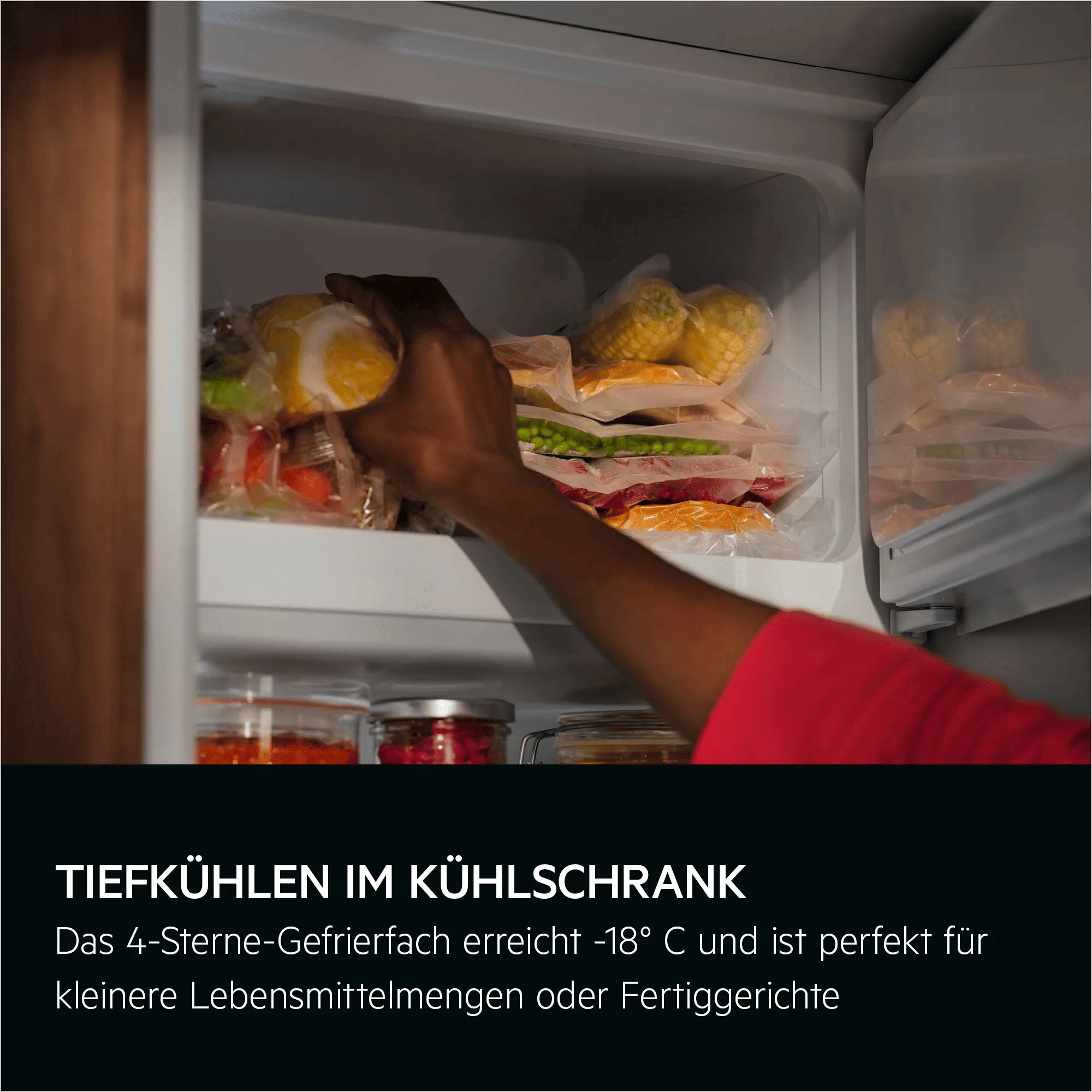 AEG ES9D18C Kühlschrank